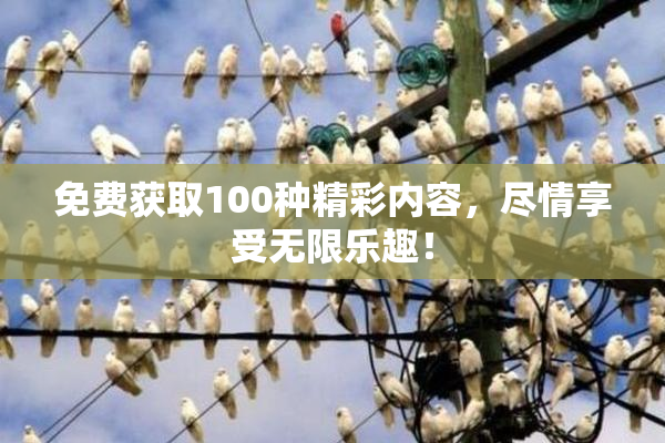 免费获取100种精彩内容，尽情享受无限乐趣！