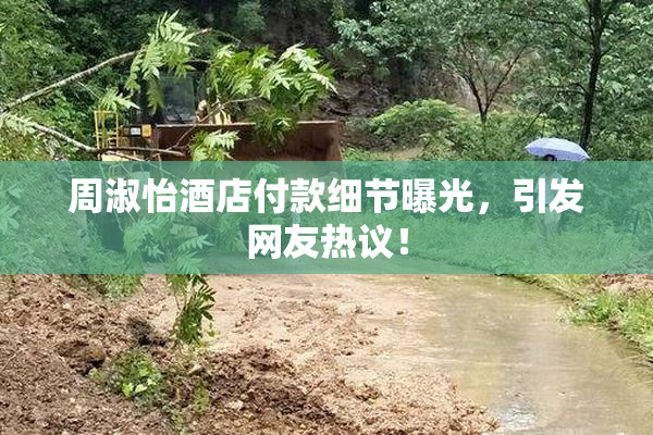 周淑怡酒店付款细节曝光，引发网友热议！