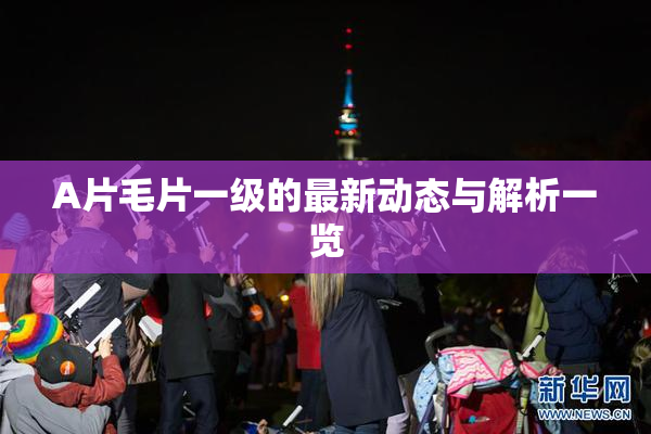 A片毛片一级的最新动态与解析一览