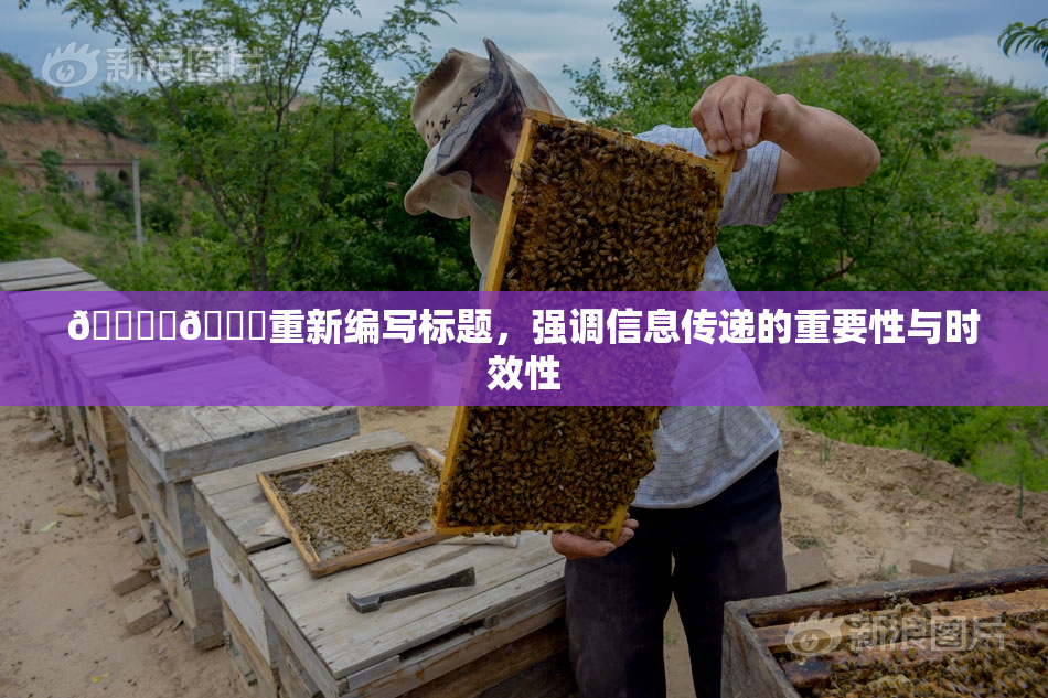 🔞‌🍌重新编写标题，强调信息传递的重要性与时效性