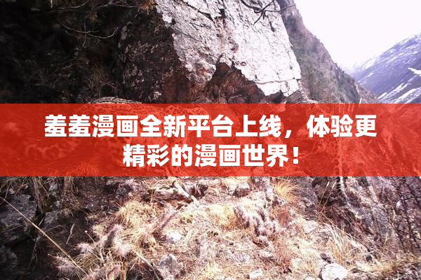 羞羞漫画全新平台上线，体验更精彩的漫画世界！
