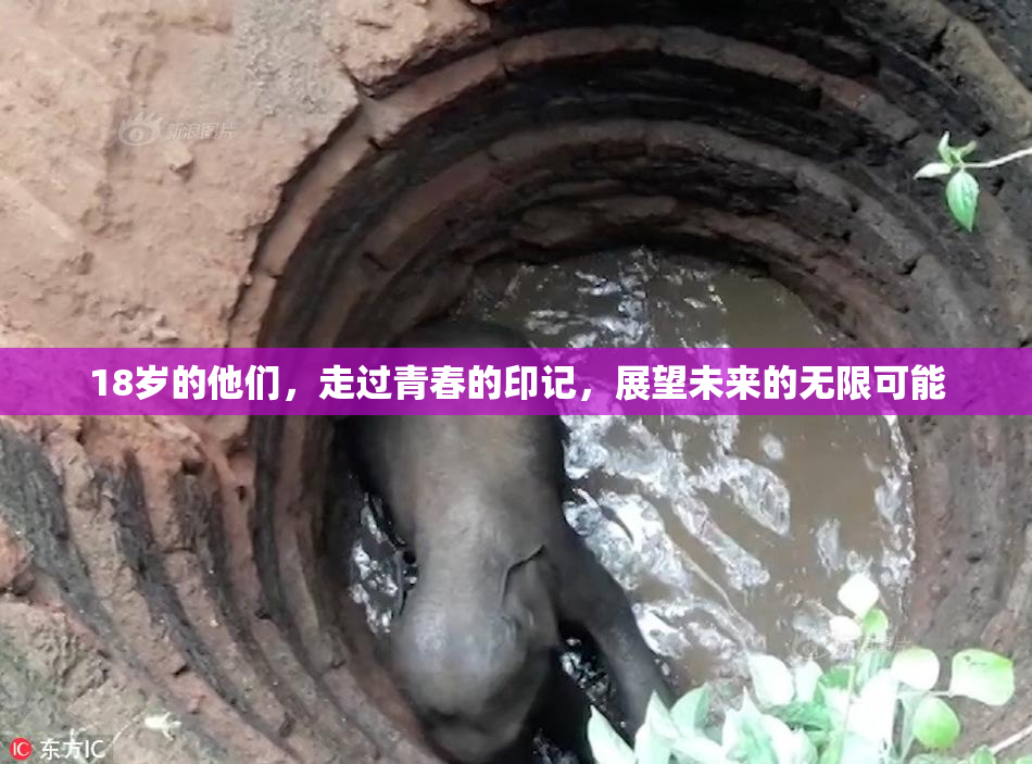 18岁的他们，走过青春的印记，展望未来的无限可能