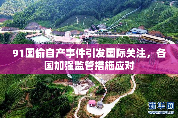 91国偷自产事件引发国际关注，各国加强监管措施应对