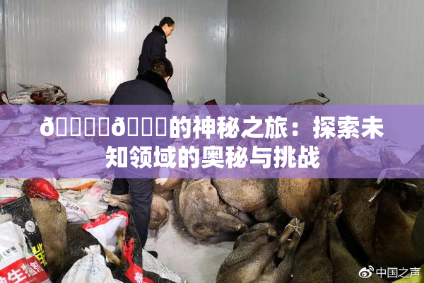 🔞‌🍌的神秘之旅：探索未知领域的奥秘与挑战
