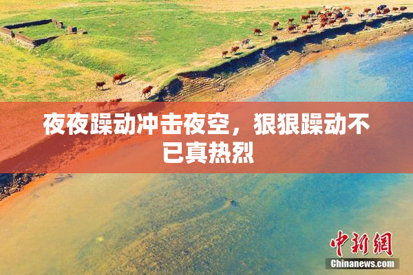 夜夜躁动冲击夜空，狠狠躁动不已真热烈