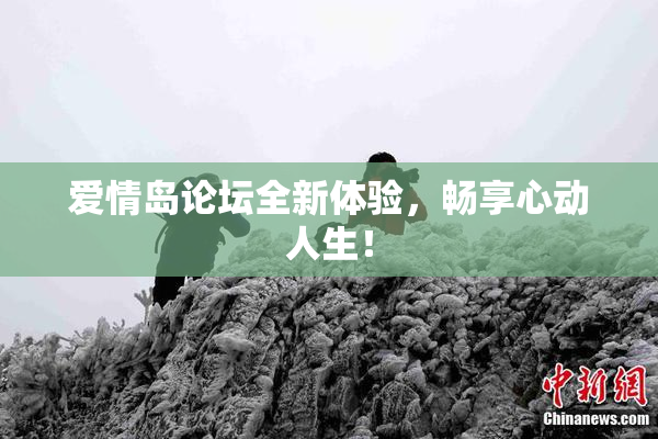 爱情岛论坛全新体验，畅享心动人生！
