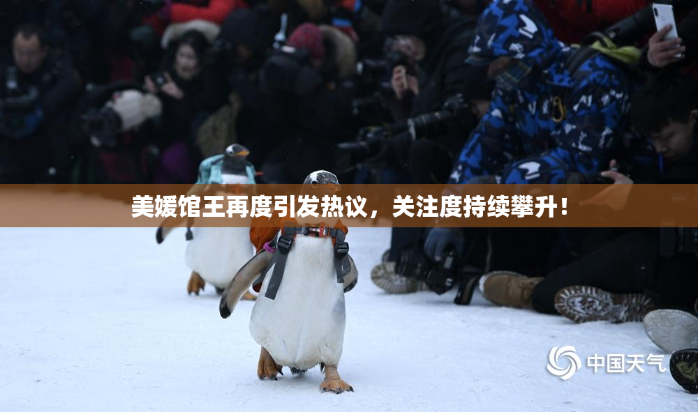 美媛馆王再度引发热议，关注度持续攀升！