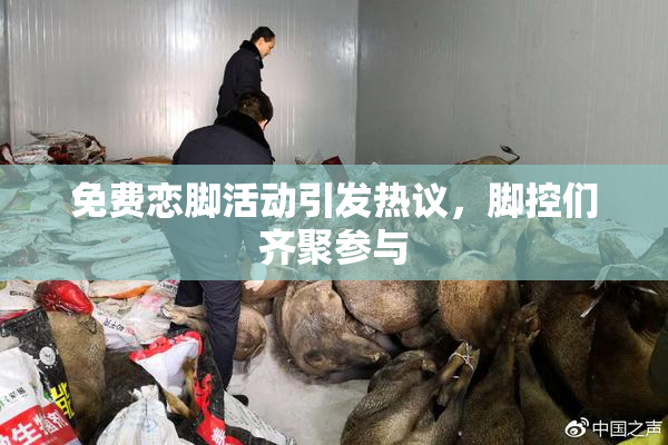 免费恋脚活动引发热议，脚控们齐聚参与