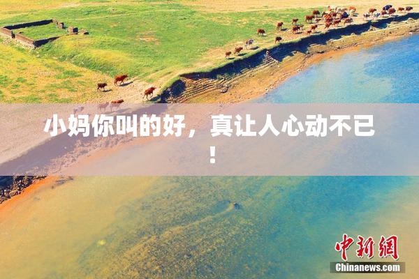 小妈你叫的好，真让人心动不已！