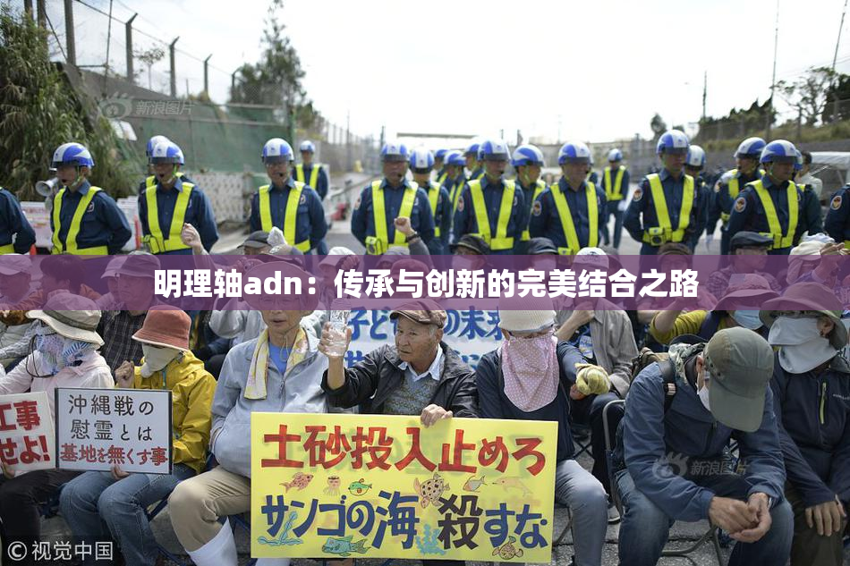 明理轴adn：传承与创新的完美结合之路