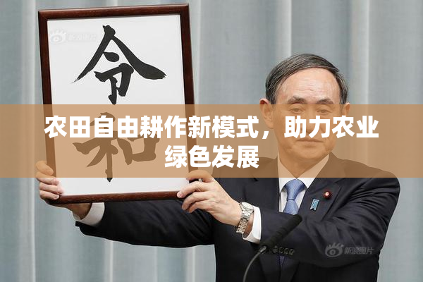 农田自由耕作新模式，助力农业绿色发展