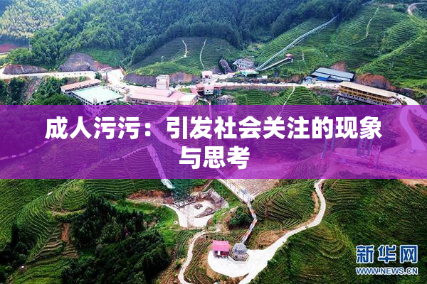 成人污污：引发社会关注的现象与思考