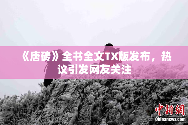 《唐砖》全书全文TX版发布，热议引发网友关注