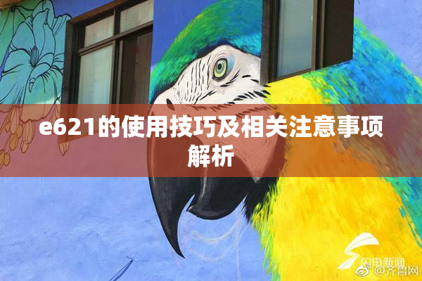 e621的使用技巧及相关注意事项解析