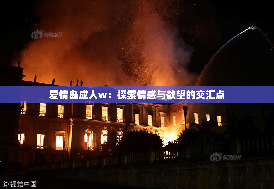 爱情岛成人w：探索情感与欲望的交汇点