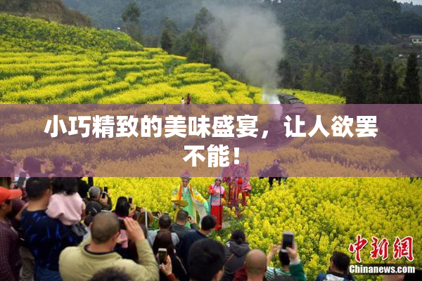 小巧精致的美味盛宴，让人欲罢不能！