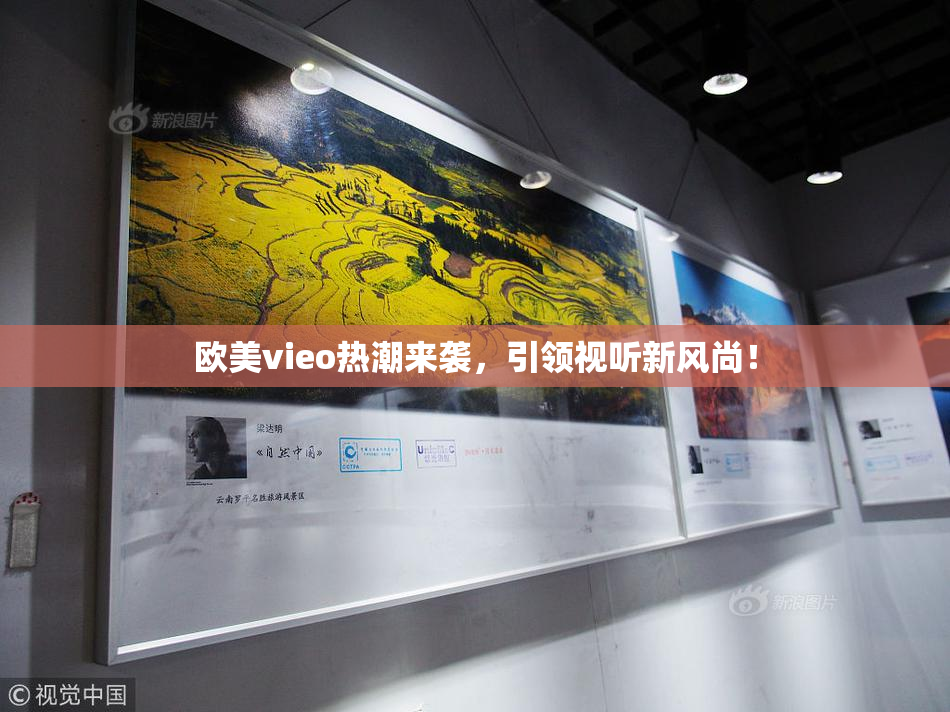 欧美vieo热潮来袭，引领视听新风尚！