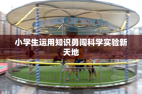 小学生运用知识勇闯科学实验新天地