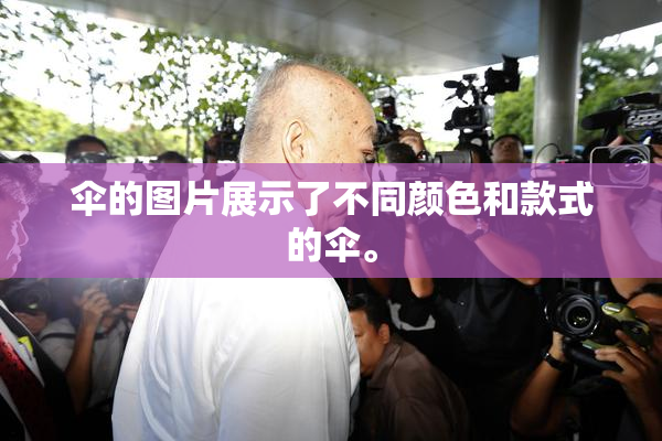 伞的图片展示了不同颜色和款式的伞。