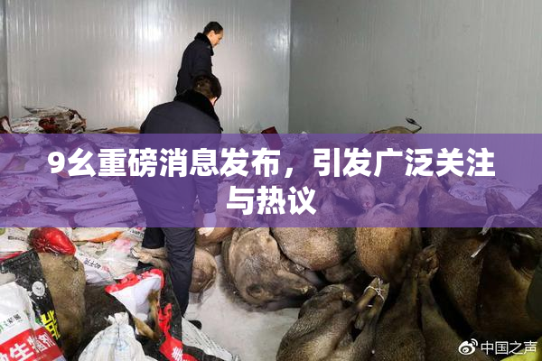 9幺重磅消息发布，引发广泛关注与热议