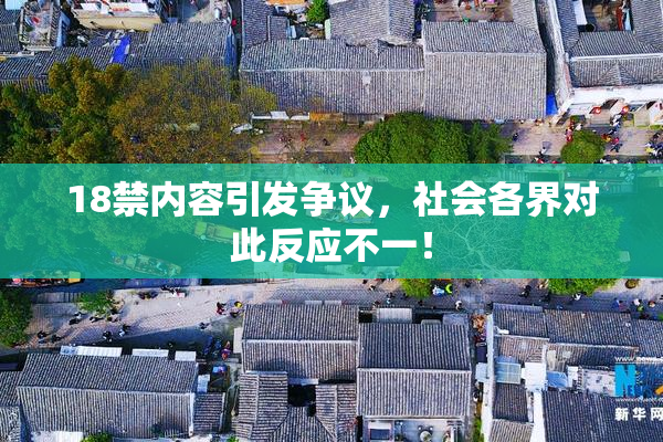 18禁内容引发争议，社会各界对此反应不一！