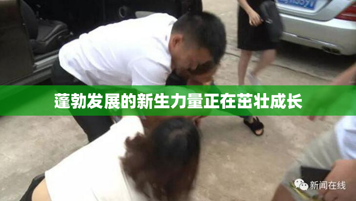 蓬勃发展的新生力量正在茁壮成长