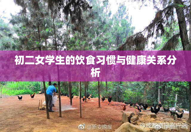 初二女学生的饮食习惯与健康关系分析