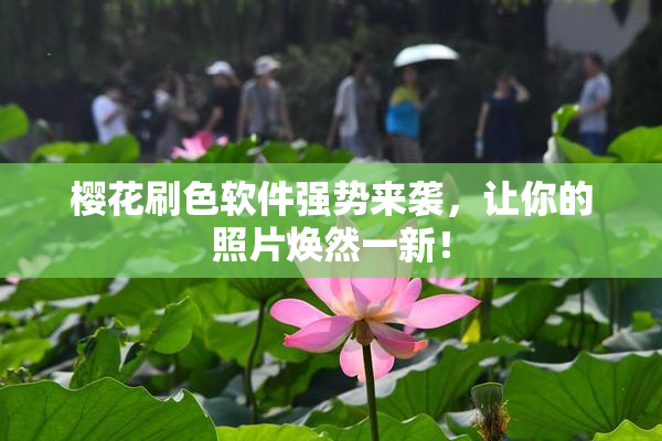 樱花刷色软件强势来袭，让你的照片焕然一新！