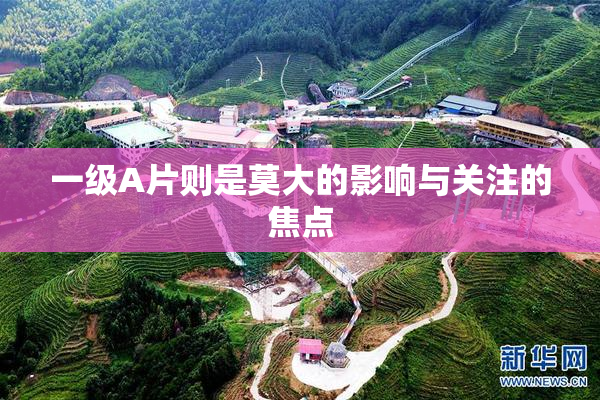一级A片则是莫大的影响与关注的焦点