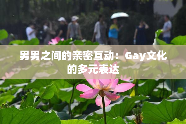 男男之间的亲密互动：Gay文化的多元表达
