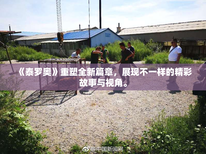 《泰罗奥》重塑全新篇章，展现不一样的精彩故事与视角。