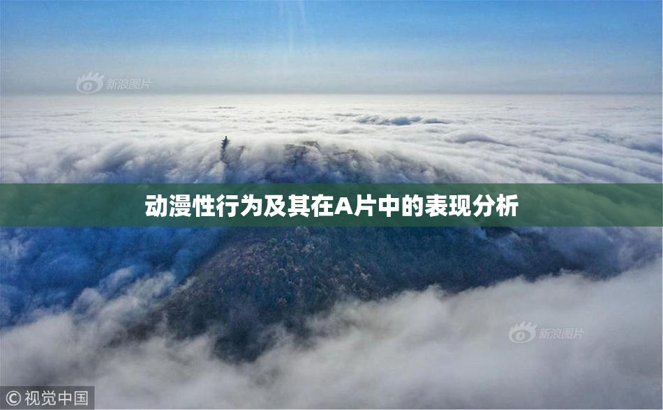 动漫性行为及其在A片中的表现分析