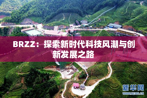BRZZ：探索新时代科技风潮与创新发展之路