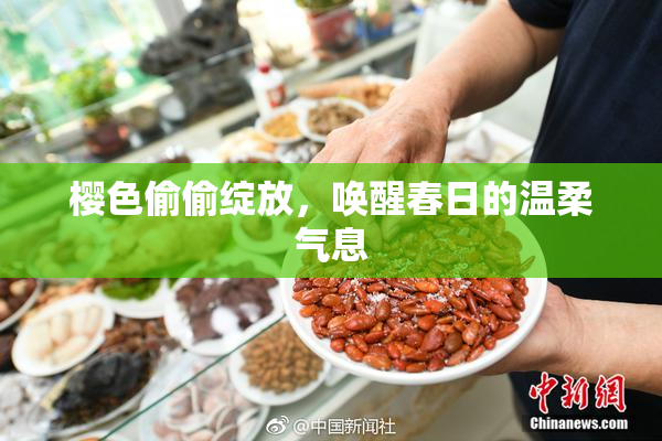 樱色偷偷绽放，唤醒春日的温柔气息