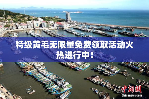 特级黄毛无限量免费领取活动火热进行中！