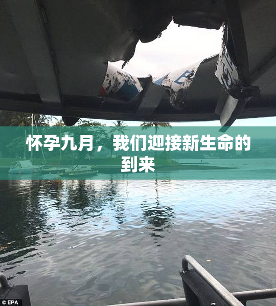 怀孕九月，我们迎接新生命的到来