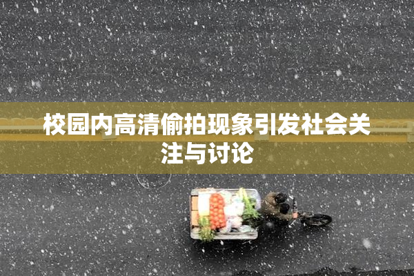 校园内高清偷拍现象引发社会关注与讨论