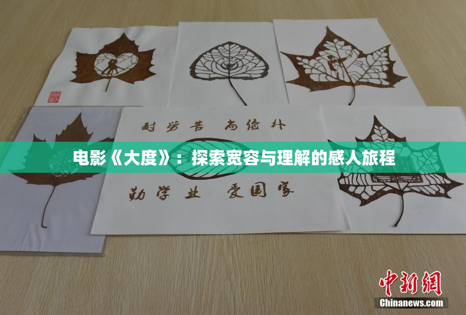 电影《大度》：探索宽容与理解的感人旅程