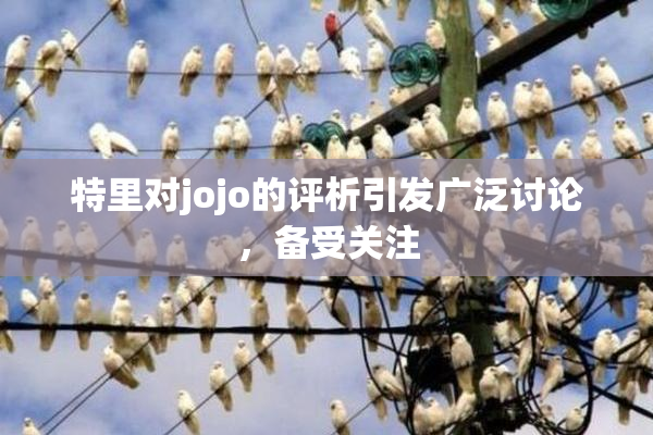 特里对jojo的评析引发广泛讨论，备受关注