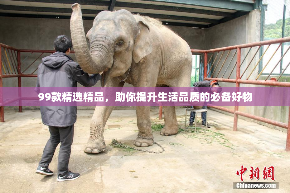 99款精选精品，助你提升生活品质的必备好物