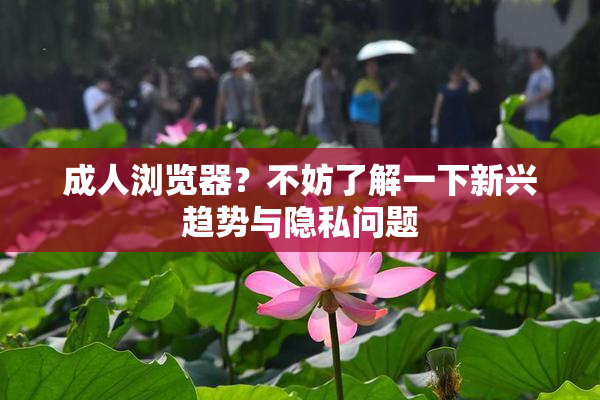成人浏览器？不妨了解一下新兴趋势与隐私问题