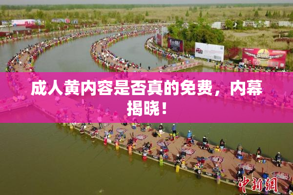 成人黄内容是否真的免费，内幕揭晓！