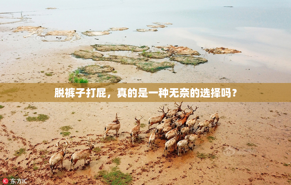 脱裤子打屁，真的是一种无奈的选择吗？