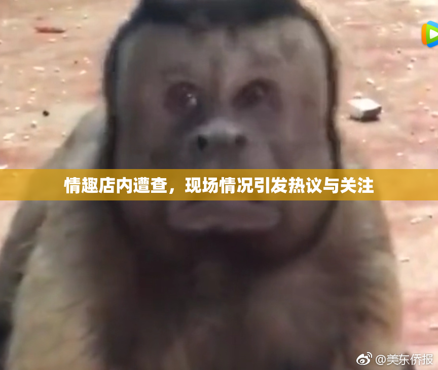情趣店内遭查，现场情况引发热议与关注