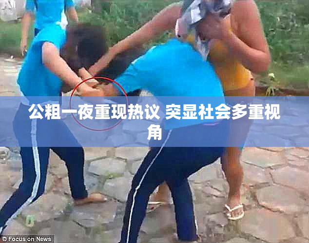 公粗一夜重现热议 突显社会多重视角