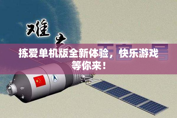 拣爱单机版全新体验，快乐游戏等你来！
