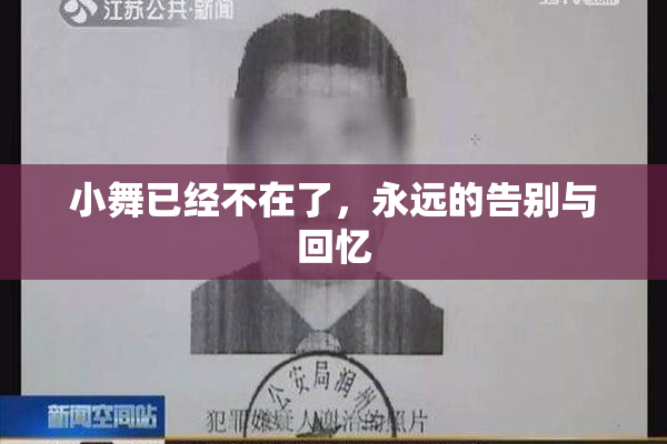 小舞已经不在了，永远的告别与回忆