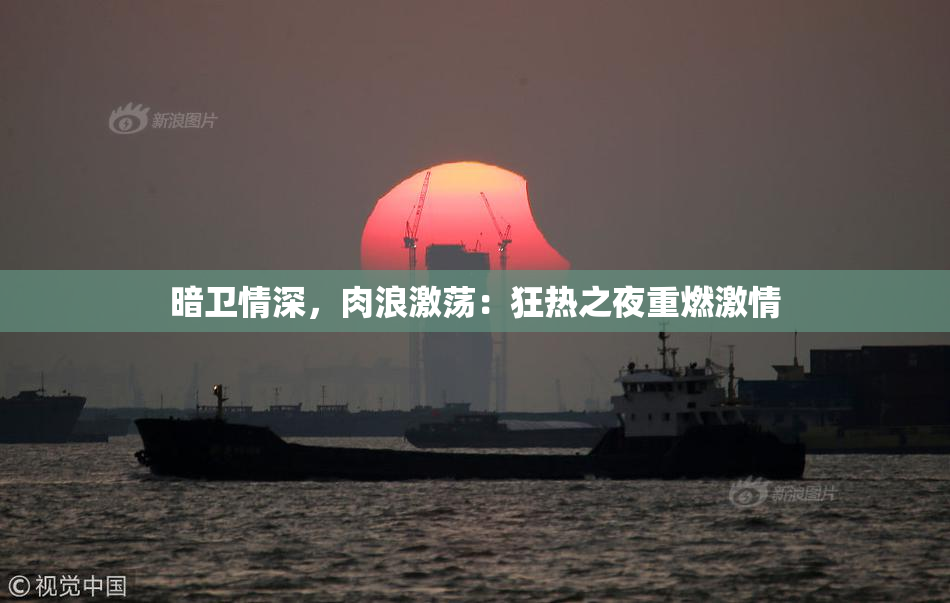 暗卫情深，肉浪激荡：狂热之夜重燃激情