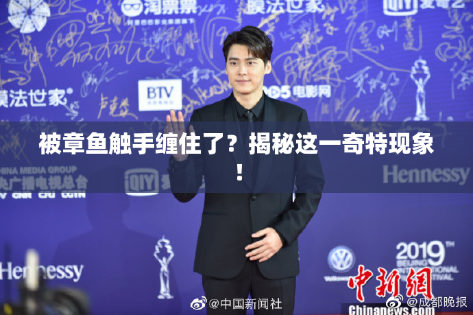 被章鱼触手缠住了？揭秘这一奇特现象！