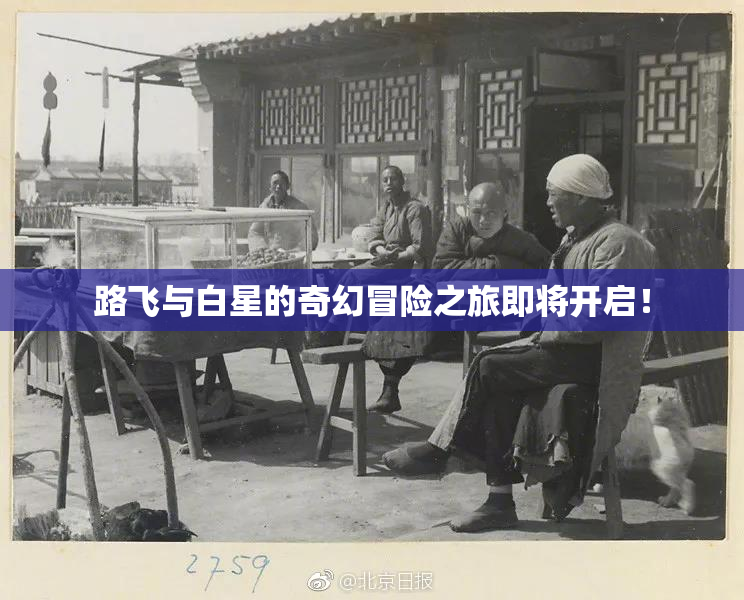 路飞与白星的奇幻冒险之旅即将开启！